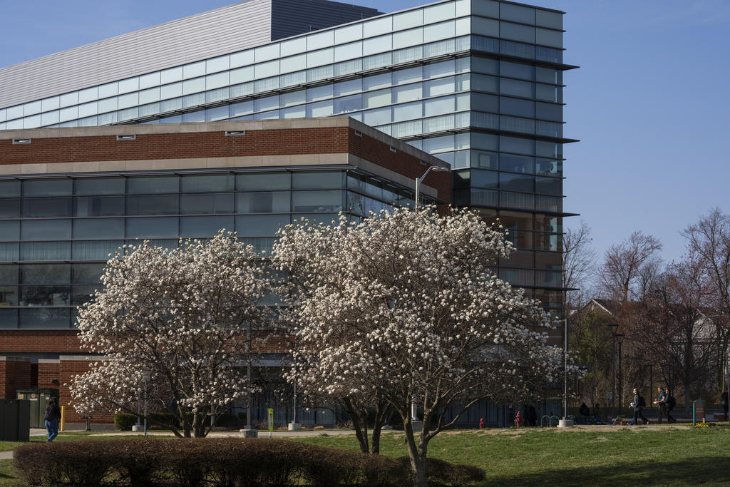 Peterson Hall with trees in bloom