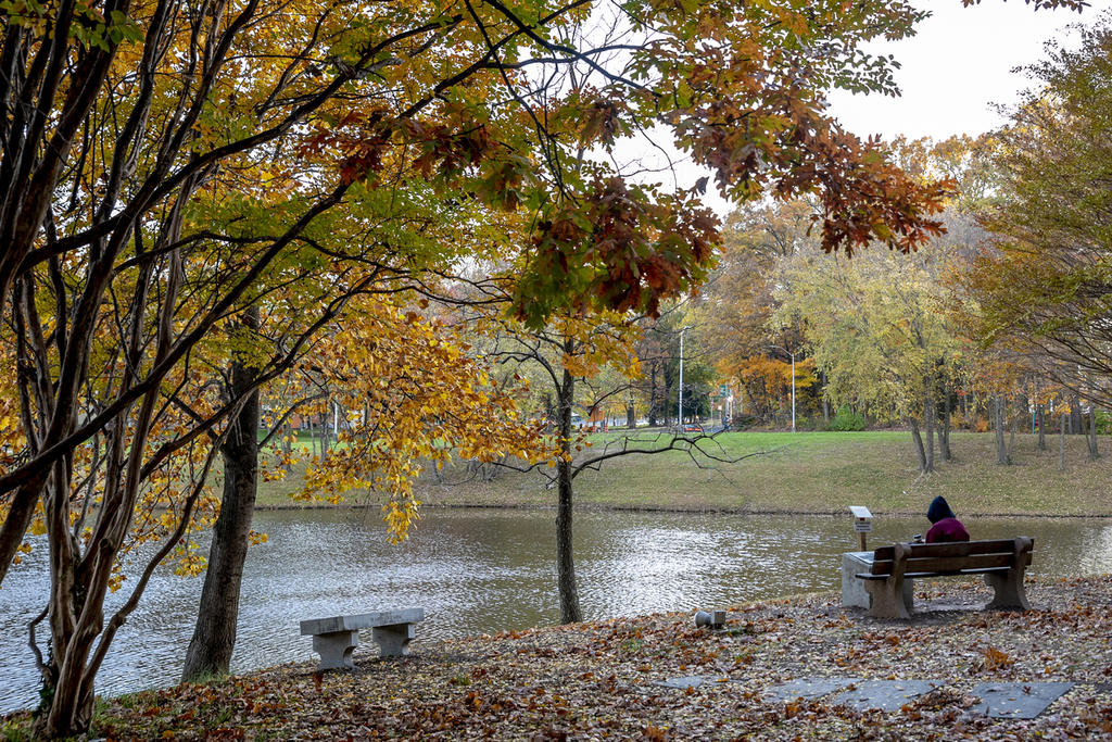 a person sits on a bench next to Mason Pond, the fall foliage is brightly colored in the background