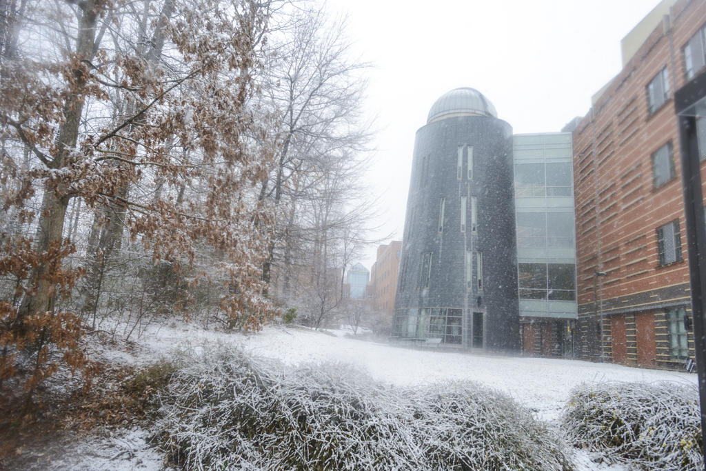 Fairfax campus covered in snow