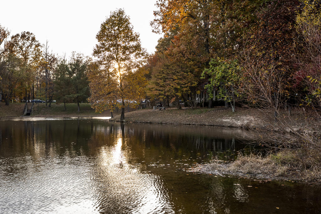 Fairfax campus pond in the fall.