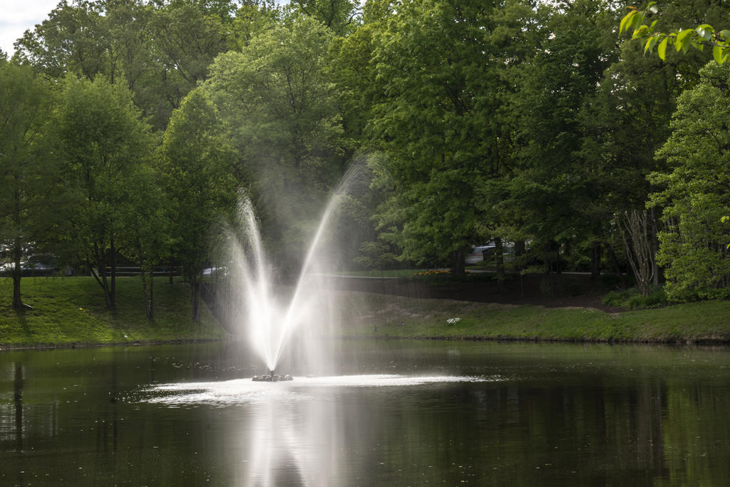 A fountain in Mason Pond